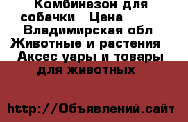 Комбинезон для собачки › Цена ­ 600 - Владимирская обл. Животные и растения » Аксесcуары и товары для животных   